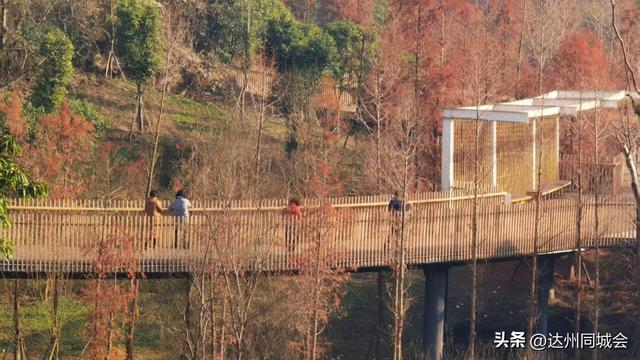 周末带娃去哪儿？通川这个地方带你邂逅自然诗意