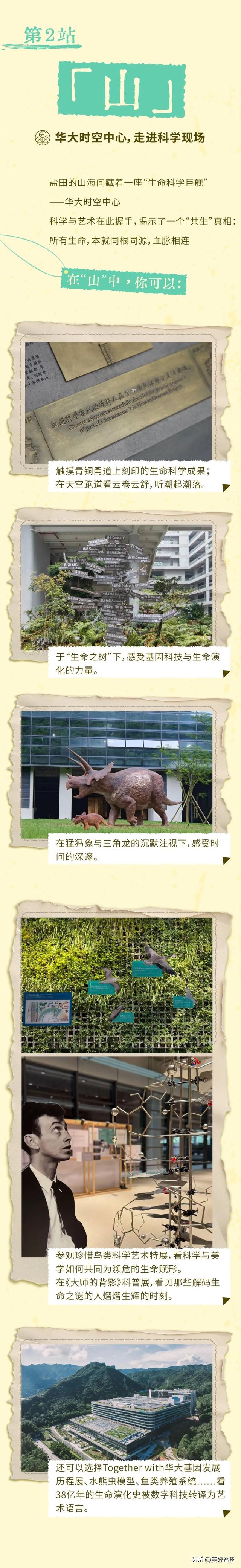 深圳山海共生艺术季喊你来一场超快乐的city walk~