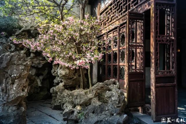 108 处点位！苏州海棠赏花地图出炉