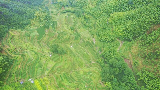 皖浙摩旅二人转——松阳横坑村篇（下）