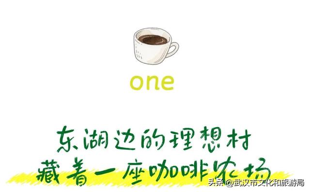 直冲20°C！武汉赏秋天花板，上新3个玩法