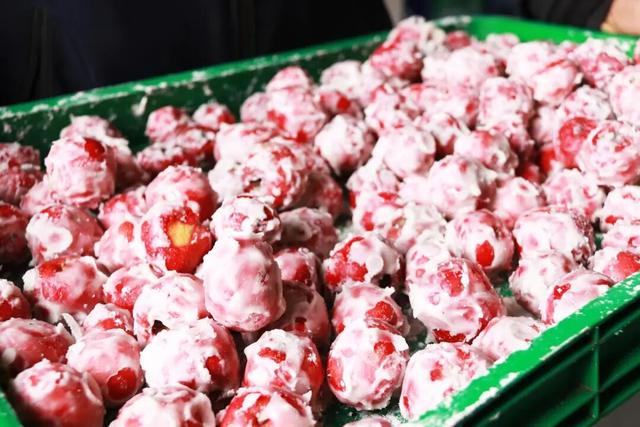 【新春走基层】通渭：山楂小镇迎新春 游人踏春而来