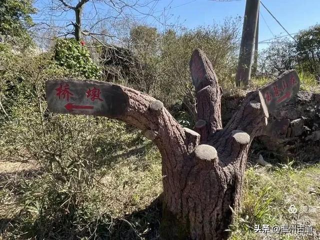 温州这条可至4A景区的著名峡谷穿越线路,风光独特,你可去过?