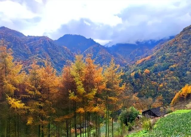 绝美秋色即将上线｜汶川的秋天，不加滤镜都美醉~
