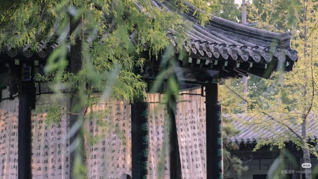 跟着书圣游临沂：解锁书法爱好者的宝藏之旅！
