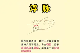 中医教你把六大脉，包括喜脉图片