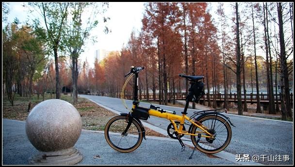 芒果黄穿行古意秋光：大行045折叠车解锁薛城至墨子故里骑行秘境