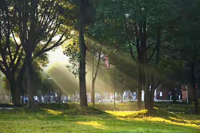 允许期待落空，是生活最温柔的慈悲