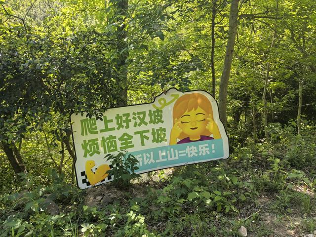 南京江宁四径山一日郊野徒步