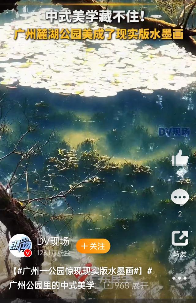 广州公园藏着一幅活水墨画：中式美学原来在身边