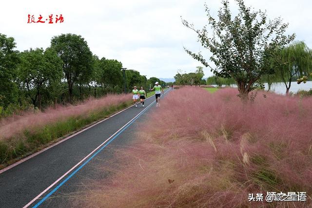 大西坝：粉黛烂漫，赏江景，游古村