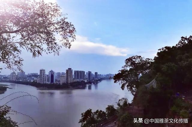 乐山大佛与三江之美：诗意山水间的千年守望