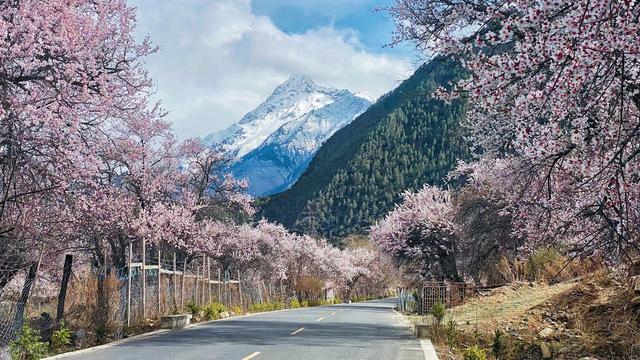 3月4月，10处绝佳踏春地，寻春踏青安排起来
