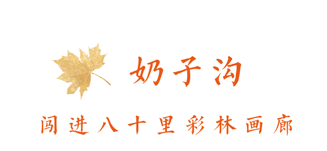 中国彩林第一县！黑水的美镜头不足以描绘！