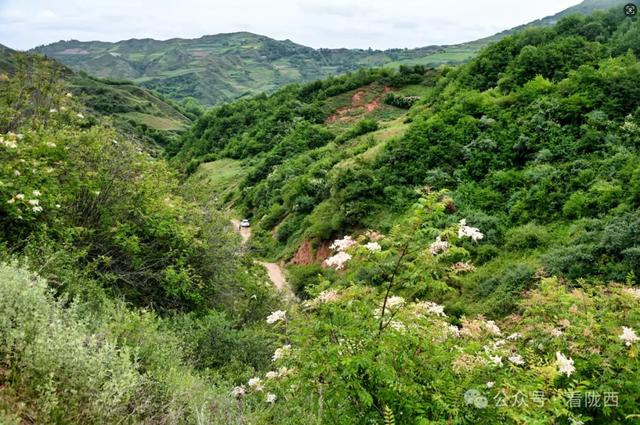 【图观陇西·新视角】陇西县碧岩镇：天然氧吧中的生态文旅新体验