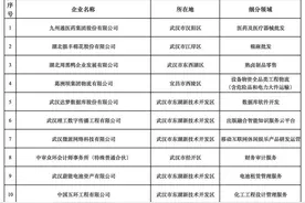 湖北75家企业上榜！重磅名单正式公布图片