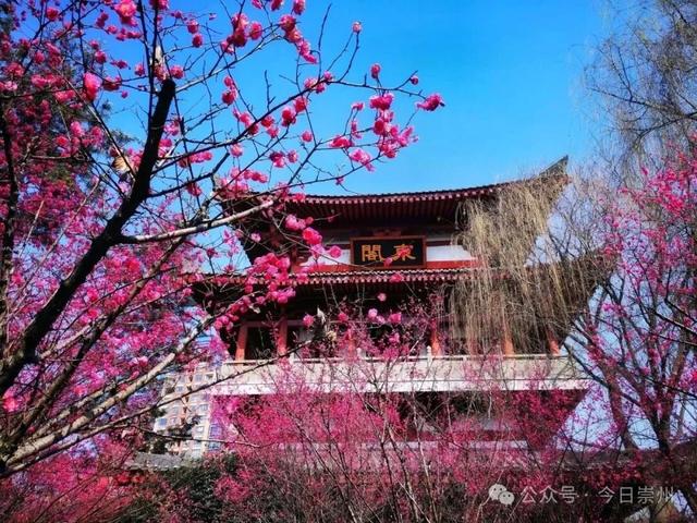 在崇州，我刷到了古人的“朋友圈”