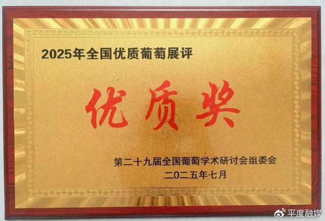 喜报！大泽山葡萄再获金奖！