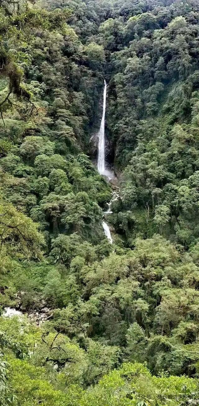 林芝•墨脱，风景如画的金珠藏布