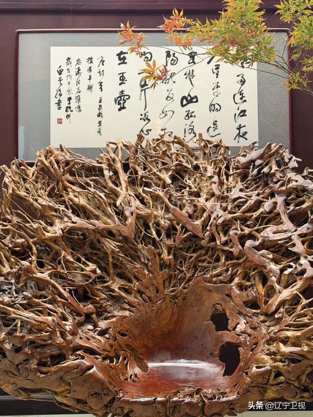 是时候重新认识一下阜新了，被低估的辽宁真·宝藏小城......辽宁卫视 辽宁卫视