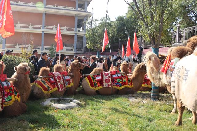 驼铃声声绕凉州 丝路文旅谱新篇——“东天山来的骆驼队”走进武威侧记