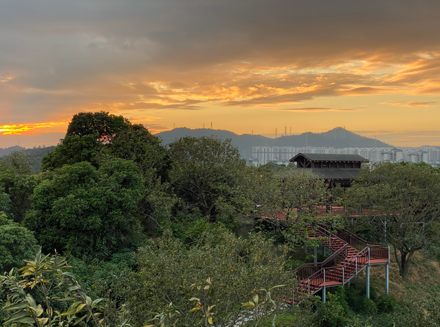 麒麟山真理公园1：这里的美景惊艳整个黄埔，你来过这里吗？