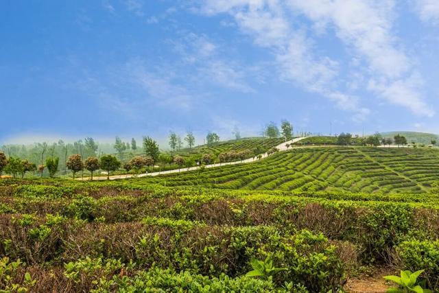跟着赛事游随县丨周末漫游正当时！众多宝藏景区等你探索~