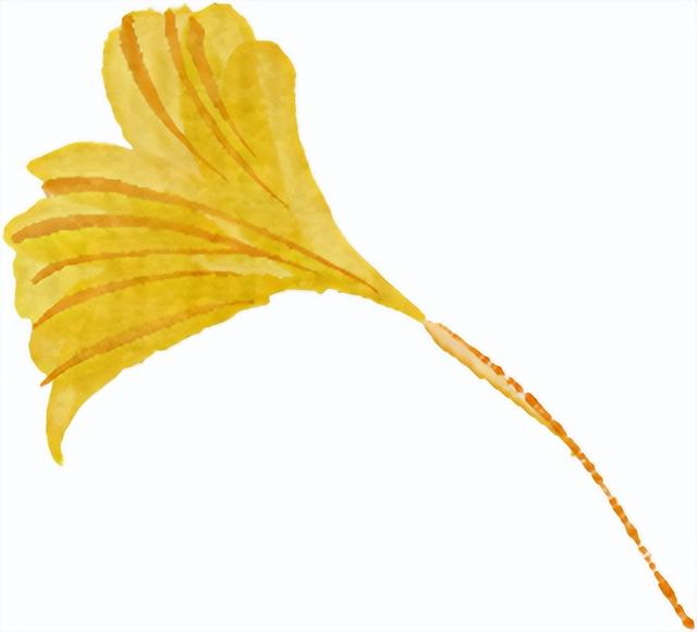 限时绝美！汉阳全城颜值巅峰，零换乘直达