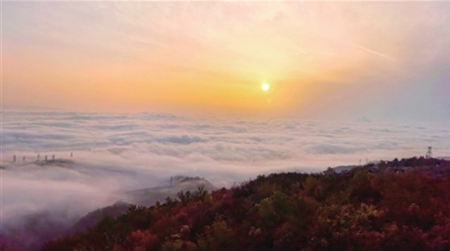 万亩生态园 雨后现云海