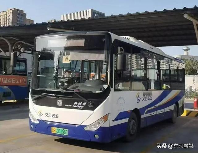 明日开幕！黄起元草莓节免费直达