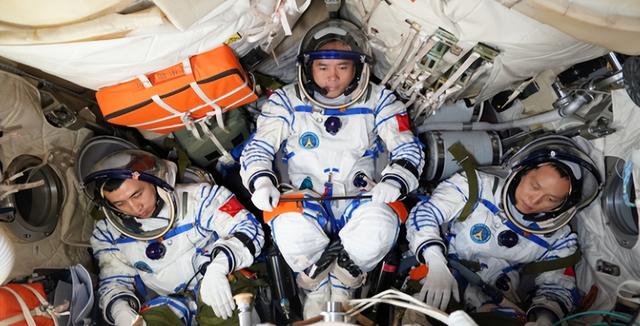 送动物上天不只为探路！小小"航天员"，帮人类找星际生存答案