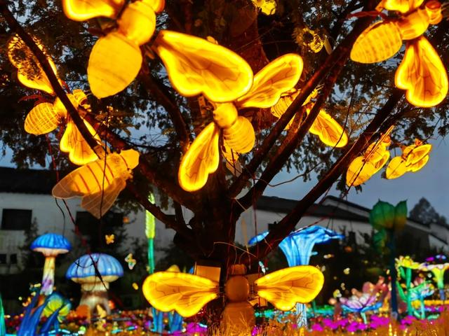 桂林：首届非遗千灯游园，光影艺术璀璨盛宴！