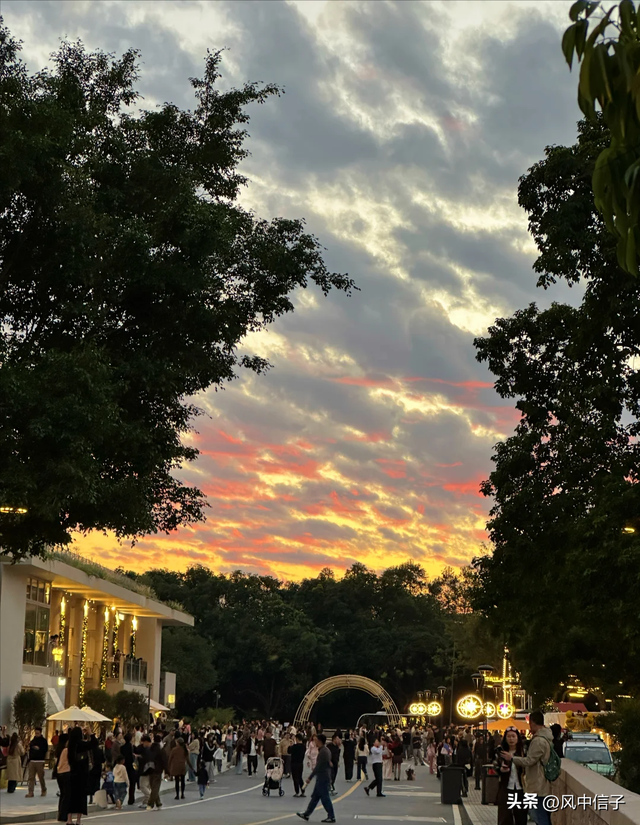 广州阿那亚：圣诞季的暖阳与星光都刚刚好