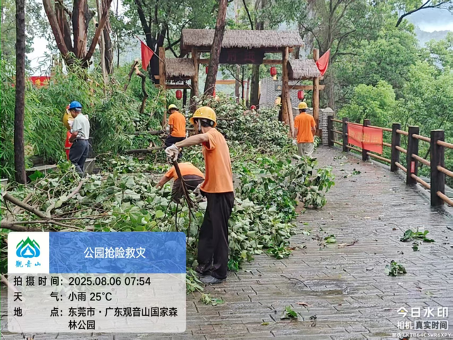 共克时艰，全力以“复”！东莞观音山将于8月9日恢复开园！