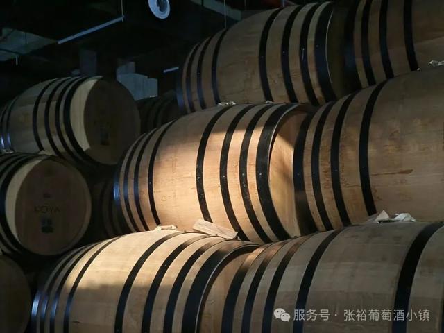 室外免费啦！烟台避暑家庭游圣地——张裕柳林河谷景区焕新升级