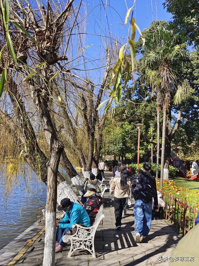 冬日的昆明翠湖