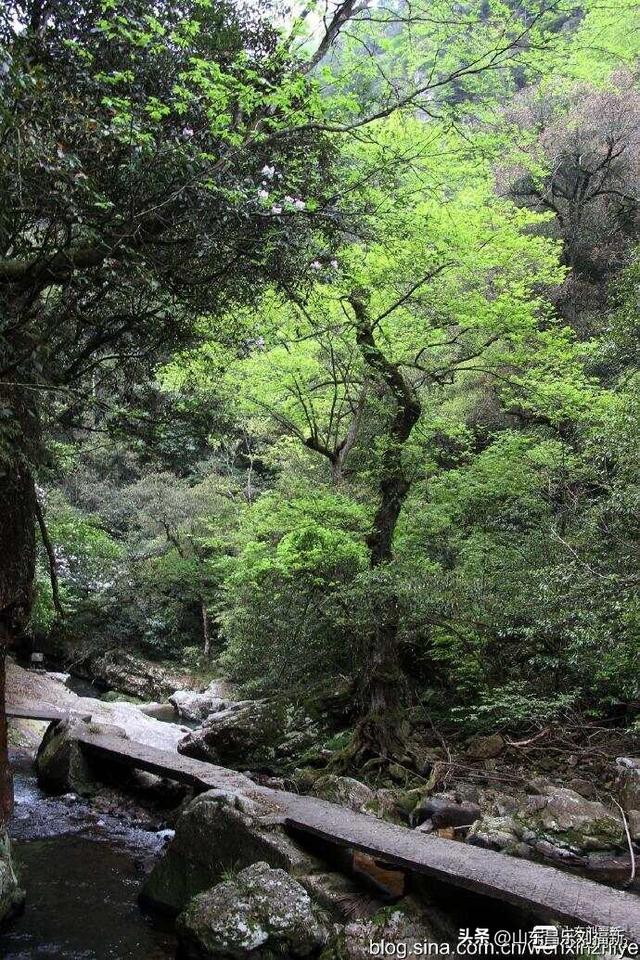 水口景区小记（江西之旅第八十八篇）