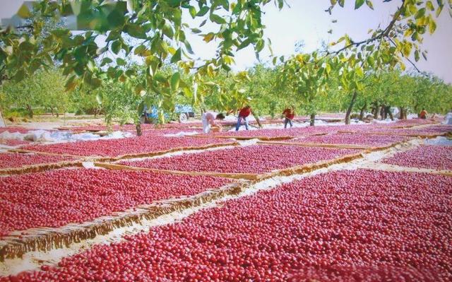 这么近 那么美 周末到河北：行唐县 感受五山二坡三分田的魅力