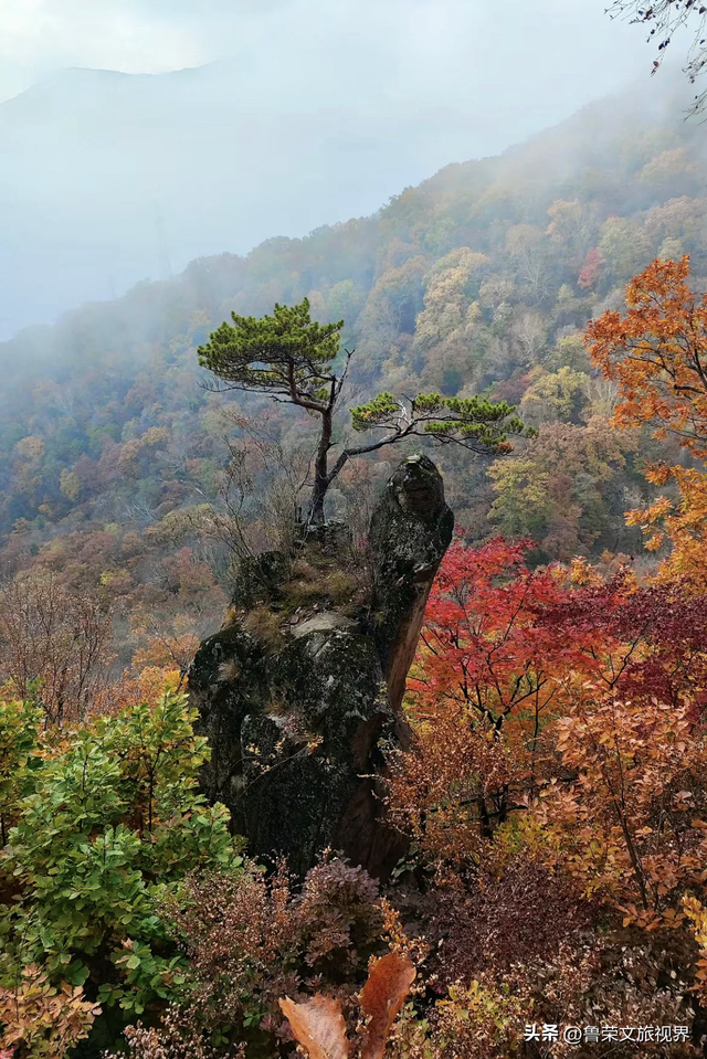 本溪：北国红枫深处的诗意秘境