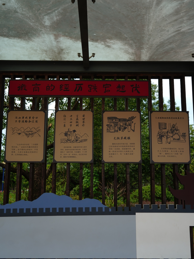 黄山治愈系打卡！20 分钟公园漫游，和“班味”说拜拜 | 皖美冬日 | 第十五届安徽国际文化旅游节