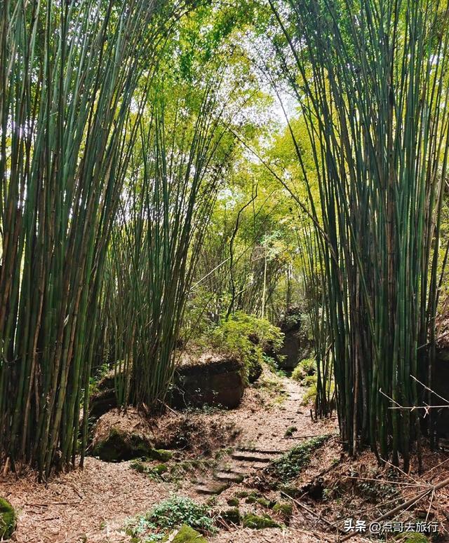 成都爬山徒步线路，全部免费，魅力不可挡，尽享山野宁静与清幽！