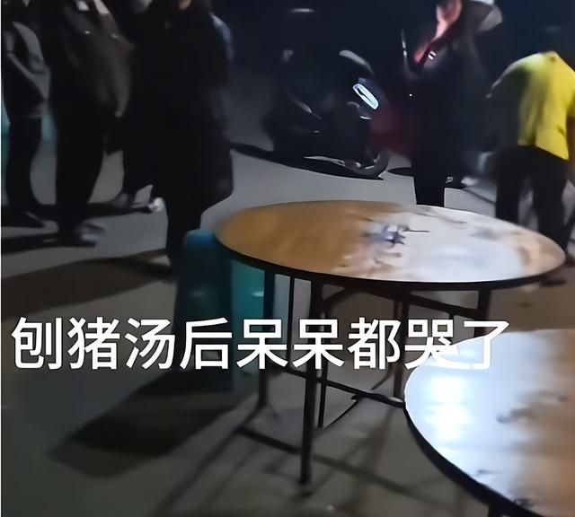 呆呆妹也没想到，杀猪宴收官才1天	， 一家人就走上了大衣哥的老路