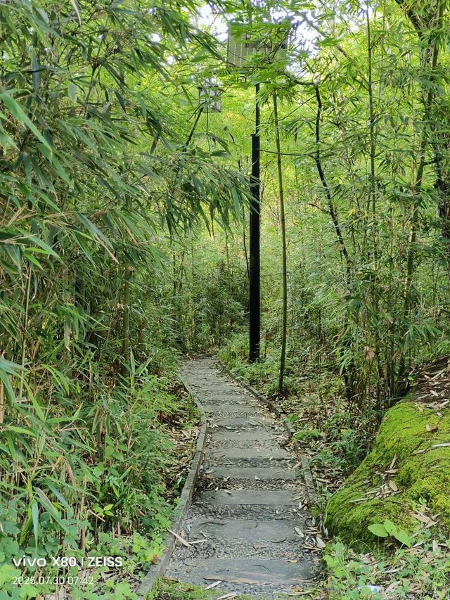 林壑听涛逢旧雨 溪声松语话流年