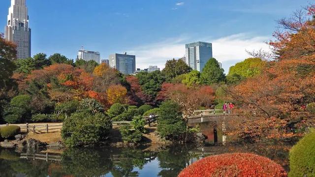 TADA东京美术塾| 懒人福利篇｜东京市内随时打卡红叶景点TOP10
