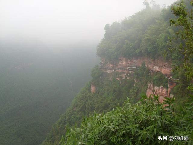 畅游蜀南竹海
