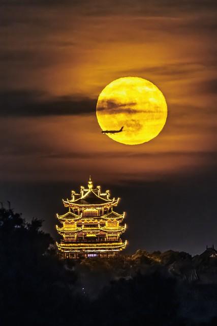 从玩月羹到月饼，中秋起源众说纷纭，却藏着中国人的团圆心