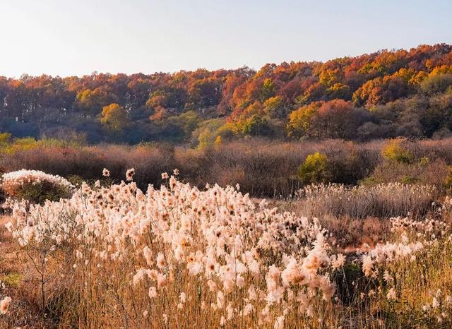 免费打卡明光女山，人少景美超级治愈~