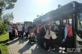 专线接驳+管家服务，苏州古城区旅游公交线路已运送乘客5万人次图片