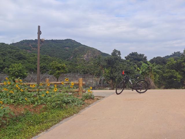 环西丽湖绿道骑行慢行随拍-动个好奇心