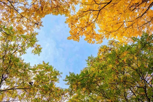 刷屏京津冀朋友圈!这个宝藏地超chill~